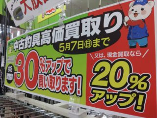 KIMG5092_copy_2832x2124