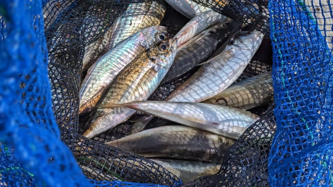 line_oa_chat_230516_193540