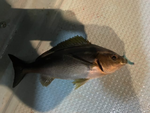 0F3BE944-EB6D-48B8-85B2-1FE81A78F872