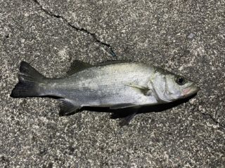 513F7DD8-0AC7-4E99-8E11-942032BC3870