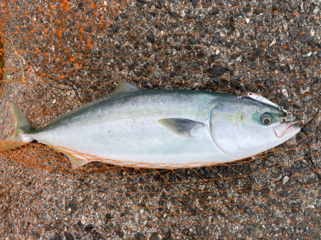 9EDFEBE0-3844-46F6-AE15-FB4C2246E795