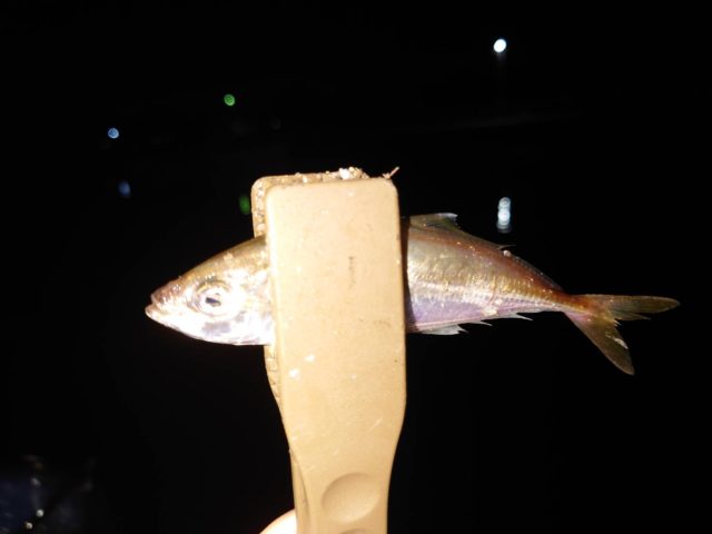 B6X3VhnISc2ir1ul8k4Xq0hH9MLIThFMDlPhOm9mdUsmgBYC_4naW3GBX8HEwQCgQ09GlRS56nNOaqXK1izK6h72O6vQnoUMWvCyIXU6vizwaUn2hBiA38VJMmXsfVIgkpngZXezwyv0UN-p8nCI8Q==