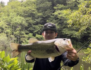 E6DB21B8-218D-4AF9-BD84-