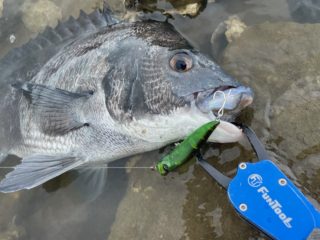 FA082DB5-9DD1-460E-BEF3-3E59B6B36261