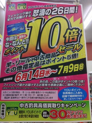 KIMG5160_copy_1699x2265