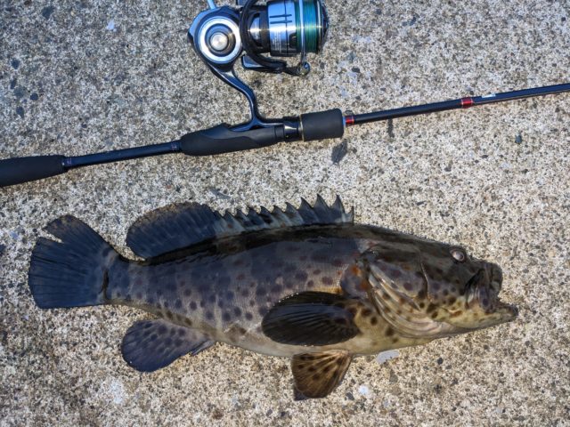 PXL_20230609_095840445