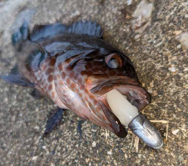 PXL_20230613_091957992