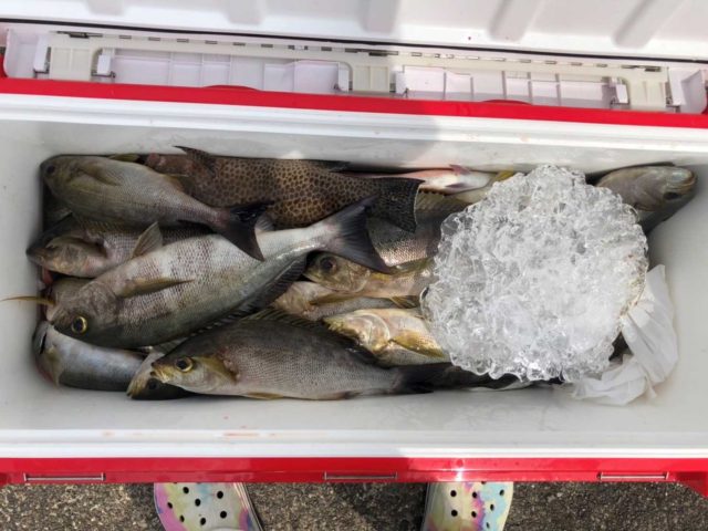 Qx3kJ8m5OEYYQVUdt-VAijkFx1APaQ715SVmtBXTS2f2CFfSiQT-evQdlKBrWl7qVj7q41MNy5Ztv5irpQLWr2D26Q_I6dc-5M5lq8cwW4_SXBKj-NrIM5gJVlOH6RRnOObrIXWDvj3wvVZWXR7TOg==