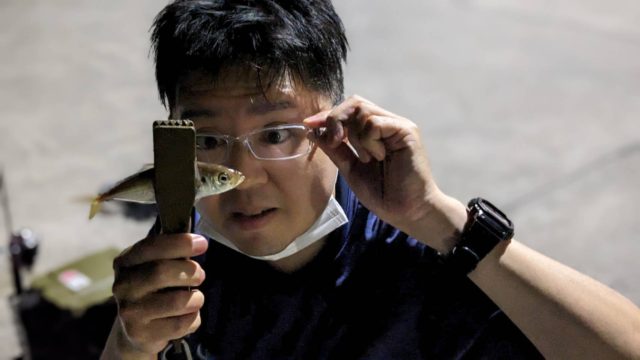 RvSXpovLqco8o4nCd0QOUmYqVirDuoZ3e25PYVdDYcr6bOHWdInsrIECn_0naJE8kJ4VW0LWh3NSXzrpx4Fqw4Nguy4CwSBC92gAQy38GJeBT7lHp2_eHG1IZHNxizE1OObrIXWDvj3wvVZWXR7TOg==