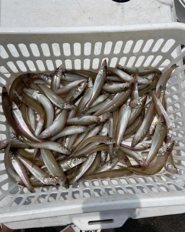 YL33D7KodAZIf4d3tzpk66TTp3dujYXm2ScyQK2Ri0o5qUsMnbzDi8O3eKiq6XV81ei8CT6g0UZE9bCKp3IOEyTPDS0eG5ZnlDQVrNof8knoY1eEKz8dd_CY5dzCBSRk6jNu5bRgUMkvYKl3YQCxcw==