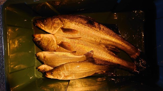 eqh6xJ2-OJv0FiAZIPz5j5yplkbXgG6hr_YTIJrykvVq0EkZGsZHC-AErMn4ZvHfGgR8evEQGig24Ay-9LfnzOlAItRwe85-sbgShzQqXgTWBth3IOVGuH_5r_ZtvaJ_QQq1-WG3eFy_I7uXKcbEYg==