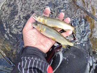 line_oa_chat_230617_093147