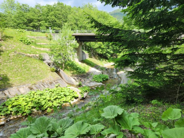 line_oa_chat_230623_102131