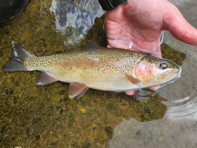 line_oa_chat_230623_102145