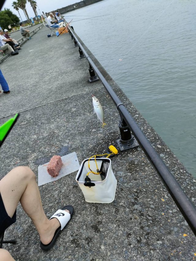 line_oa_chat_230623_144915