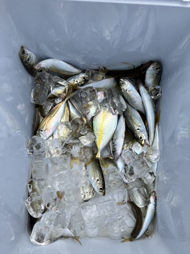 line_oa_chat_230623_150022