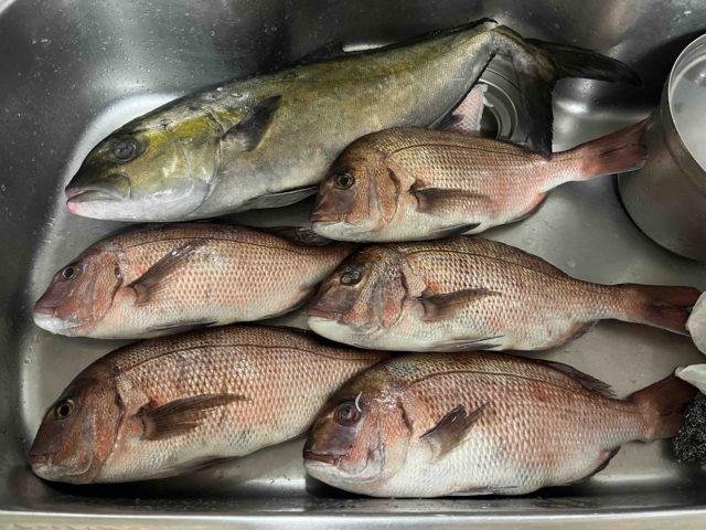 1301a43e-f9f4-41a1-a32b-8a485fa87d19