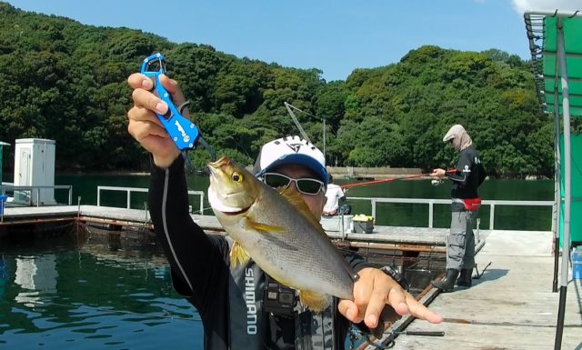 354880f0daad1aa722a45f7c1e12e132-640x385