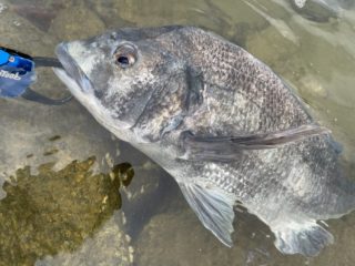 AFBA398D-DA3A-4AEE-B142-6C54061ACD31