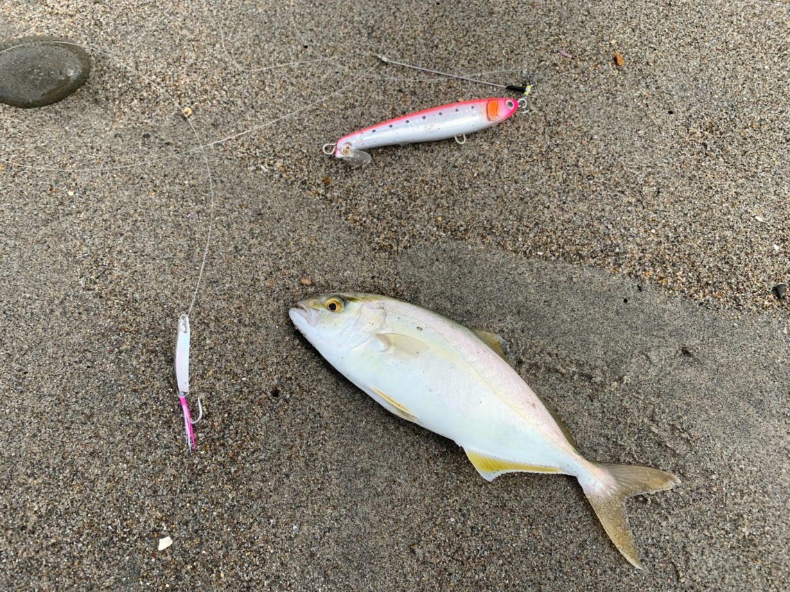 BzYBKaIDe9UpL7T-SEvRdMOb68yiK0ZNkxyE0S4xWKNlDGoe5zx1Nhswf6kbWyt1fZT_jyOzVbQBIwkqn3Fyony3YKw3Ha7nwfekZvCTezh_Vr5bW0is5CwBa-SCTLE5dWH1GW1Hzzc1ZjJIrpDCnQ==