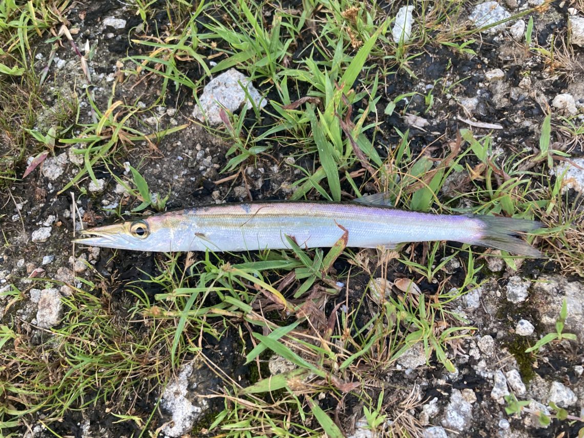 CE5247F4-6004-4BD1-A109-3CBF0AB75003