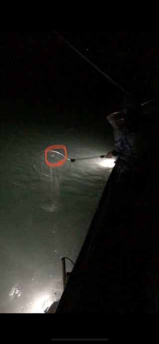 EH67mYKfKmniGv6UztE1mo0M6Q0NVxh4vPAH07N7yWUOhtMfFEM4BAvS9sWHCcBsjbQ5YhoPvCfvz3bIsUd-yNe2kJEGp5D08lX3DL4v9ILpFD56pOoSZQlGmRIGE68exjd32DvNFM_jZ_FnFQeU0g==