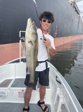 KAm2MS0ug9Q83samulKIpgtnXLtch82DYXHZFWgO1I9G_Stu5Ikt3wxT9UGqbx7OMpMmx6kMXQPynYWo5u6v9_5DWyr6WDpy0p2Mdru4EiQznguYct8RFllPB94gU_6GjgTjgTGATm1_gXXKFHhmhg==