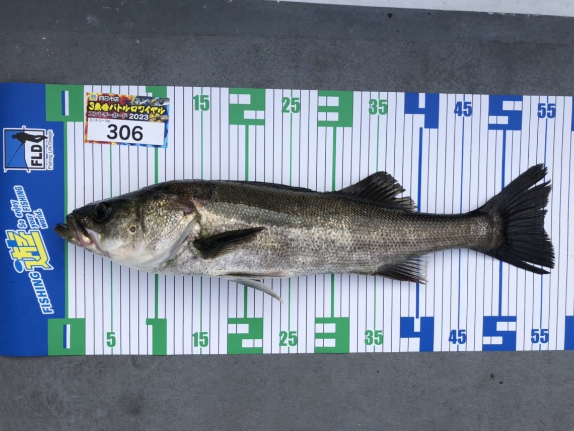 PH6chX7LfFjwFgBNGTmIH5XZPd8UDO3mHOhcq7xAKdNNtH0LD8hwQEIss6oVEkvk1Nx_e6ZGm5ugS1DNYWmQxT00D1LK-qESUnPtPF6HWBre1e_eFTZiiLhZKrTEN9QEQ0mGTKiMiK02azDH-NEk1Q==