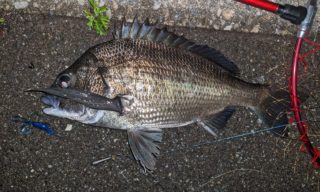 PXL_20230713_155825768