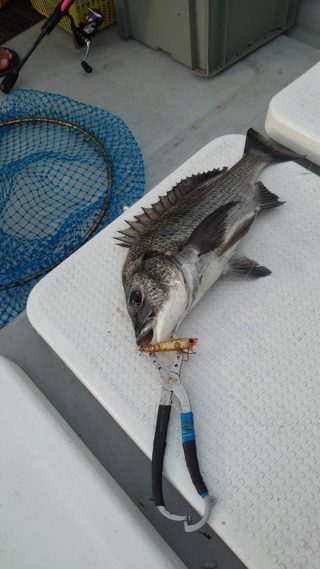 RwbzARKwUgnRhJzFkuGgvFzwNpTvaQ8FOSaffTDiq6t14IIr6zmCv2QO3U47TPWlUaiV8D0_Ft85LSzDCnmD9qmm5Aeo9CmNKQ9wvb6YT6wKg_EvalXErfeAWHI2se_Wz-l8wzGQwHLkU5ioxg2GJw==