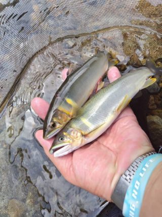 line_oa_chat_230712_093652