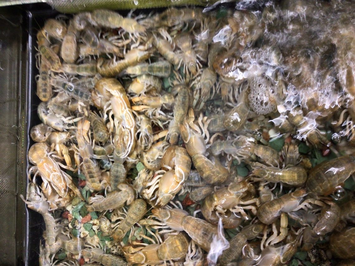 line_oa_chat_230717_134212