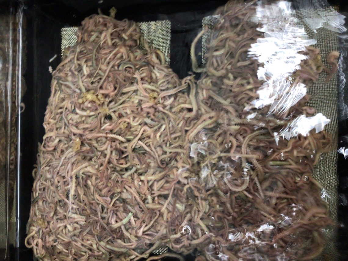 line_oa_chat_230717_134216