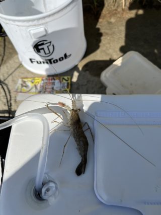 line_oa_chat_230724_191933