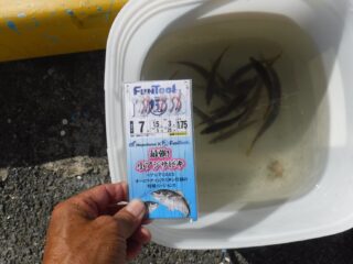 2J6Har1U_fTANLbTAGtEDCV-sMSrqBy7uNamewiCk0bWTVoLOf_AkEj68hk6XK-yYpnB4qLGVY5mXIXDwdNGFmapq1oBTqqDPLJYGrWZzCGZRPocLD2lJb72zrEgSKUSCPs1Dl06N9VAVlxHgFo47A==