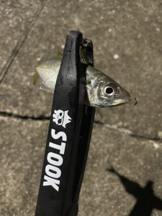 6B16802B-3394-4B42-AFD1-D767679DDB64