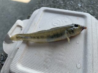 7GtaWgTVnWYHj7pqLJbn775G5lcEe4V9Bw9iOvQTElPGQTtmKZaYwp5Zec8_APGFlJvaj5eyp8-sg3sjxso0-qpUffcd7xjmytO9N6Dj53jaPj2QirLeiwIf50iYbI5OQ0mGTKiMiK02azDH-NEk1Q==