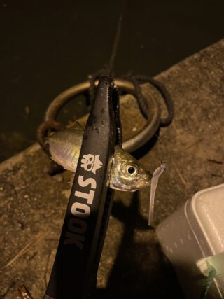 B83F09DC-8872-40A1-B310-78B27B3213E0