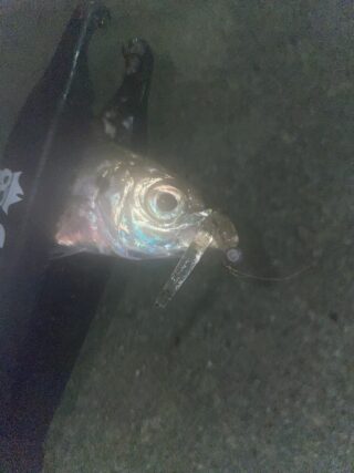 BB8C89FA-427C-4F15-AD40-3932FF75966A