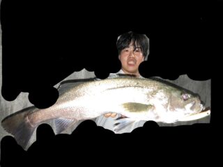 C7761928-34A9-4017-BA2A-7DA63200CED4