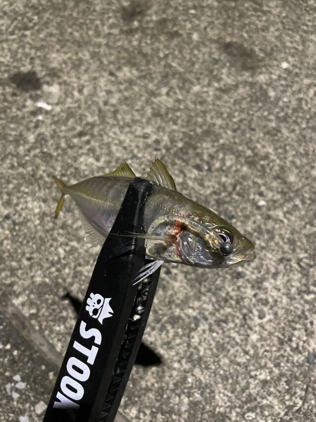 D672D2C1-2573-4643-A37E-C8A362A1DF97