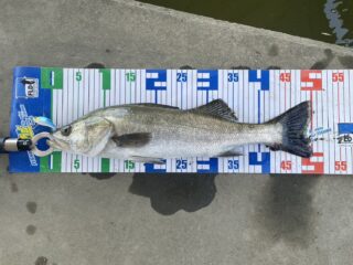 F6106213-B5D0-4785-A46E-DB2657F74F20