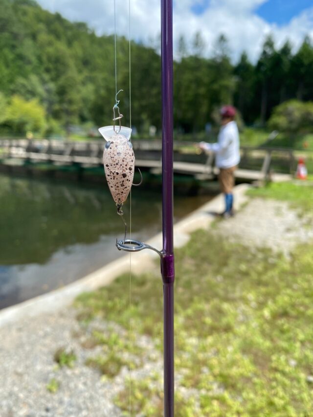 Y1QiTcBVPLFiCBb77nZ-LZK21ftvxxy-XjJpFD0hB4drYvw0HpVmciMKK4cypuCQCggcHTLYA8TPJjeaqc64Kz2AmaRNeo5S4iFlf6EF_2JinWGliU7rOd6hPmx-hoT8z-l8wzGQwHLkU5ioxg2GJw==