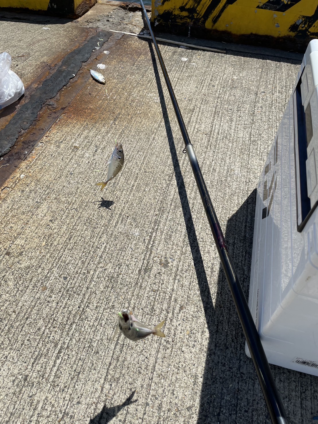 aGgHSTkX1R-AY4LHyA7EWFoYtsEINmAueElTsmKSsDahW17-VsmT2pmUwPwWe8UxOGNJpOqmm5fW4OEASPxUOTL3qjGA3YeHYW_e0lpg7USNAJ5ZlRU82rj1dt6AzX5WQ0mGTKiMiK02azDH-NEk1Q==