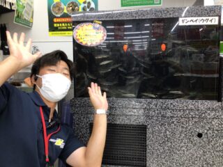 bGfMH9hLJ8Tm_43gzAo2GFnWzV6nld7E9F4djMRbpVv8PqQJUAIyNjgBeJzdmSDEqxw41lVQxehDX-4dbGCUH7TDcOhZma56nm65XuCttRVWsRE5WkdSL3G9JDXoS373kpngZXezwyv0UN-p8nCI8Q==