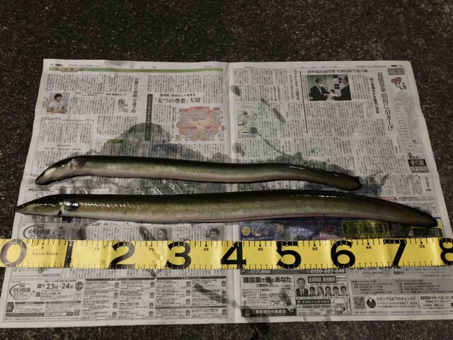 f2c632f0-a5ae-4cf2-ab16-ec3b83b370b3