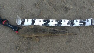 j-ILsJwSsF140n8G7-5zwFnKYGge8ozkuDBDoGXD58gh6wI8ocLYY5uBITypNAvZuNk4srD-dgmy2uqU4h0cVaoWhN75u6W1UoTpv2qdNohq8Yvkysaf-zhOE-TQie_Pr6fRbKROf4YksHppMo5QDQ==