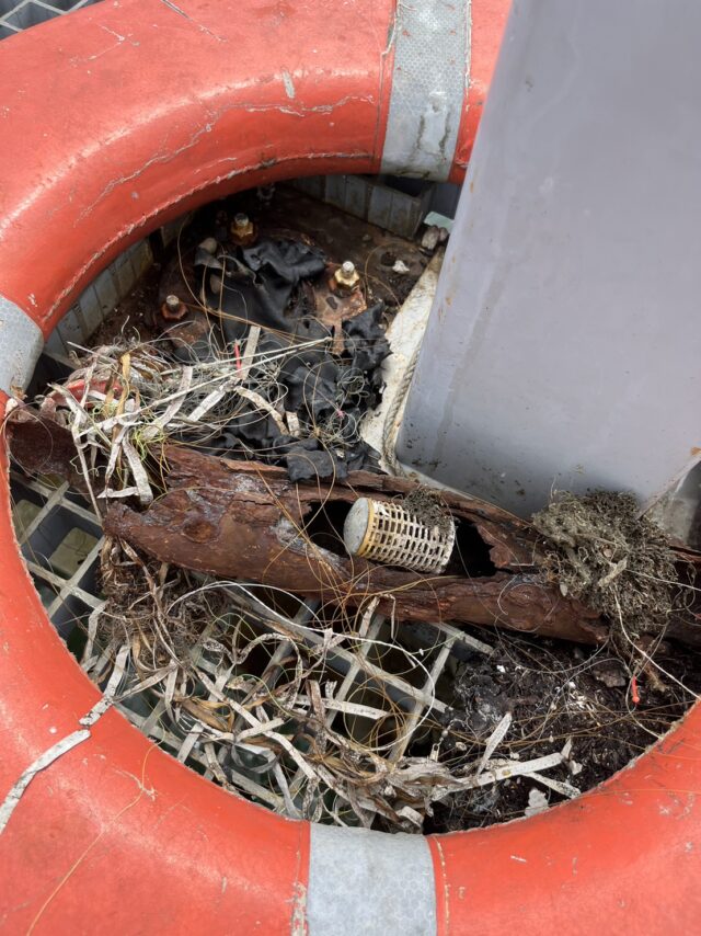 line_oa_chat_230807_124838