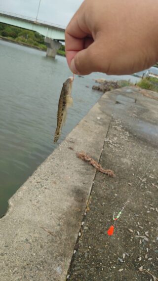 line_oa_chat_230807_153209