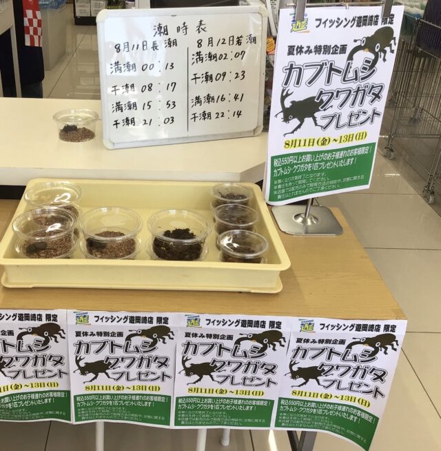 line_oa_chat_230811_114600